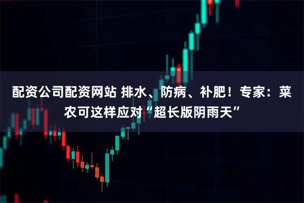 配资公司配资网站 排水、防病、补肥！专家：菜农可这样应对“超长版阴雨天”