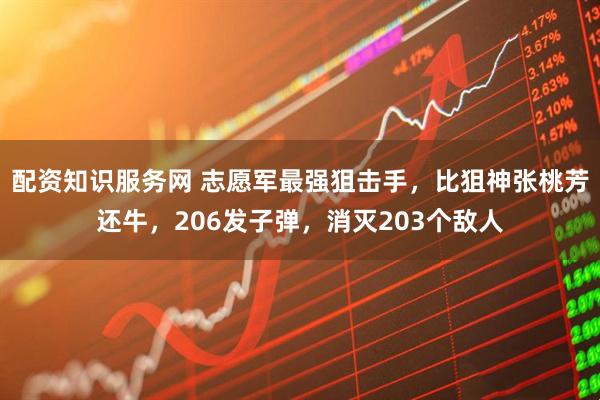 配资知识服务网 志愿军最强狙击手，比狙神张桃芳还牛，206发子弹，消灭203个敌人